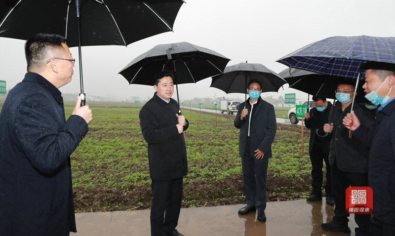 2021年11月18日 羅增斌在安州現(xiàn)代農業(yè)園區(qū)調研（記者 賴杰 攝）.JPG