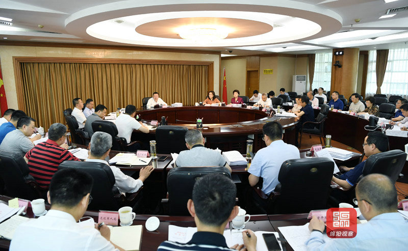 2021年5月11日,市政府第119次常務(wù)會議 張莉 攝.jpg