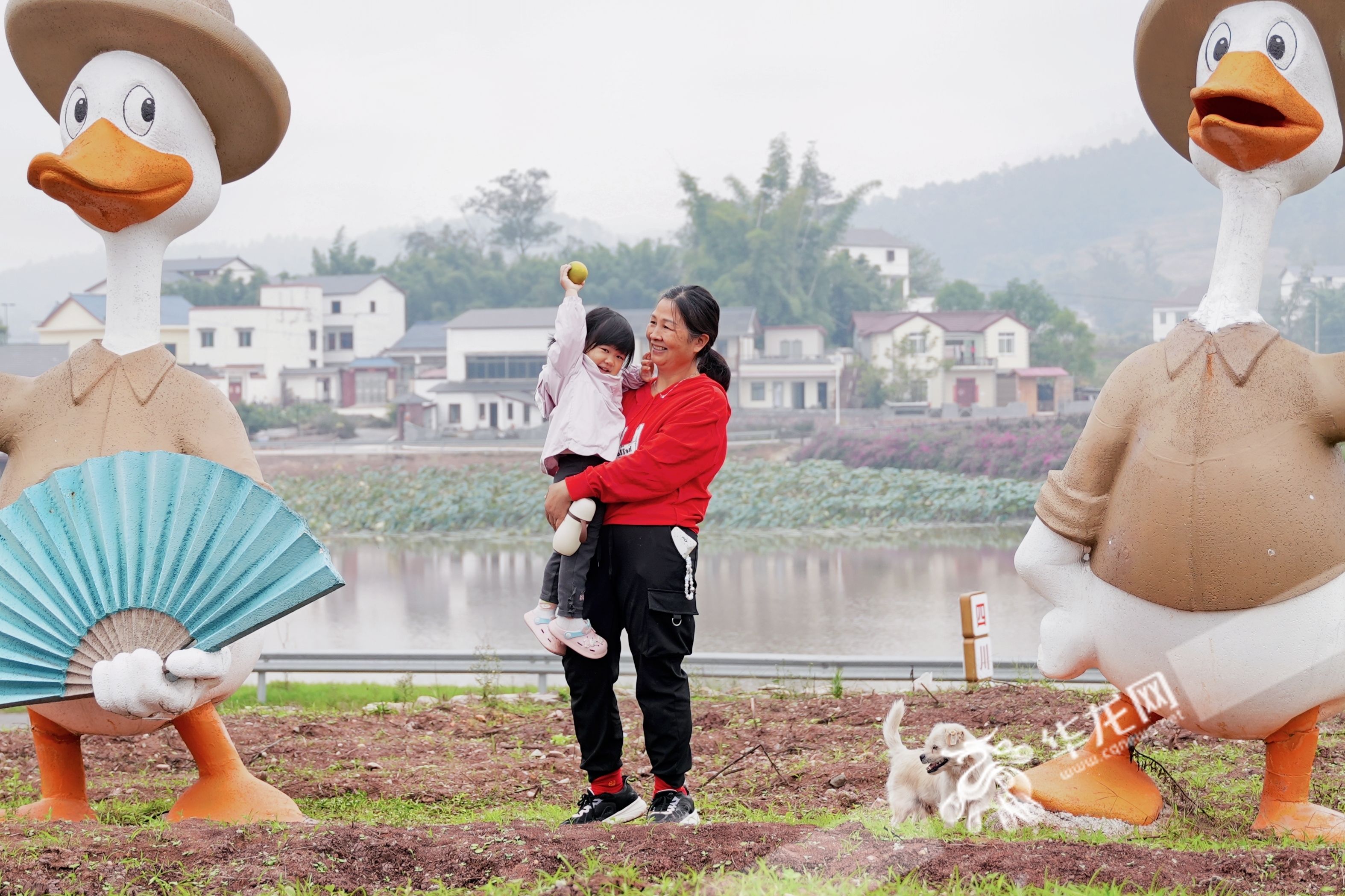 榮昌與隆昌攜手共建的成渝現(xiàn)代高效特色農(nóng)業(yè)帶“雙昌”合作示范園區(qū)。華龍網(wǎng) 辛飛 攝